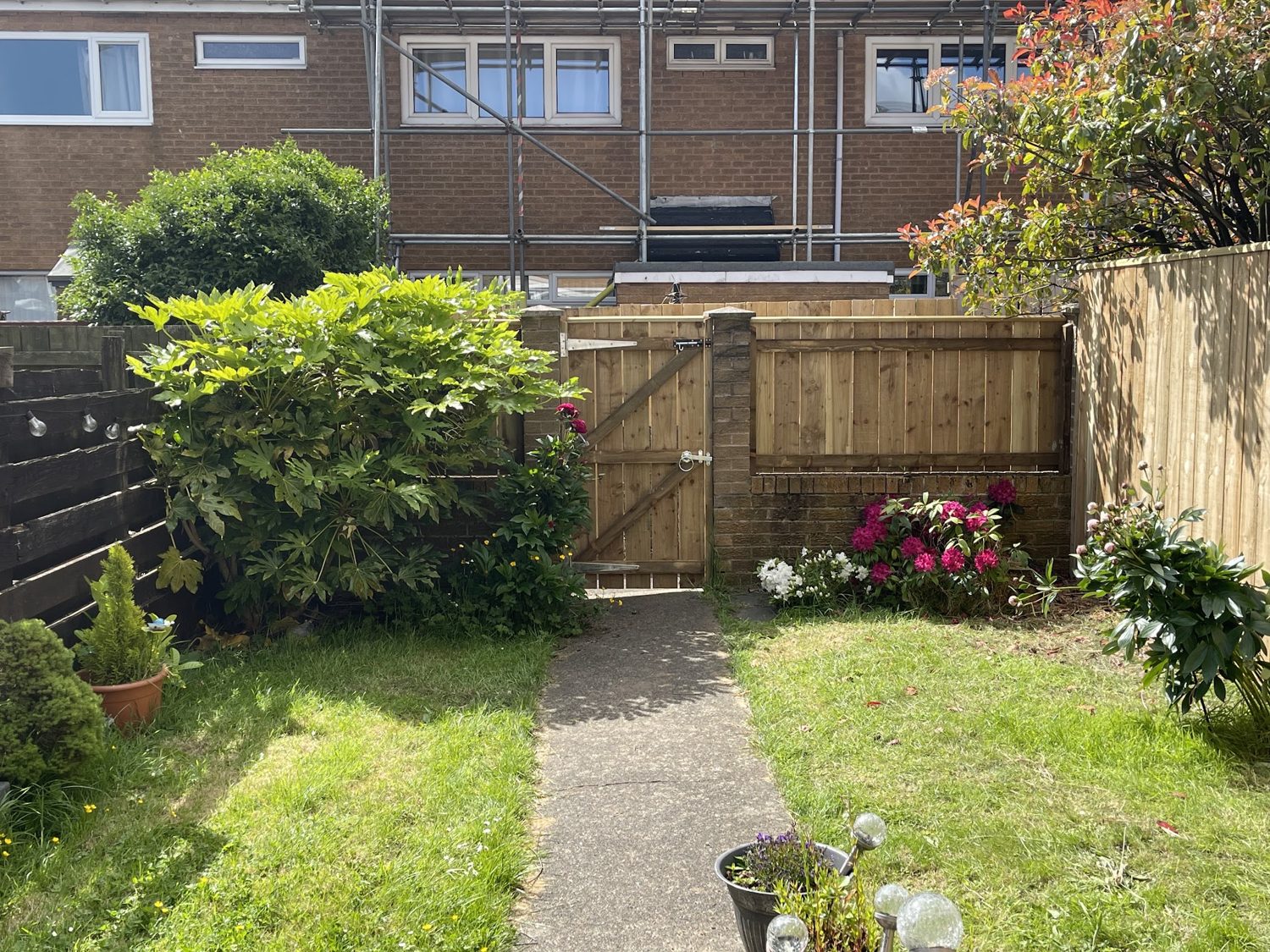 A planted garden with a new timber gate and fence panel beside a path